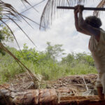 Rambut, Martabat, dan Politik Tubuh Perempuan Papua: Sebuah Refleksi Akhir Tahun