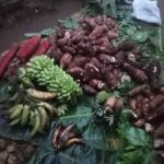 Ketika Tanah Berpindah: dan Ini Bukan Sekadar Isi Piring